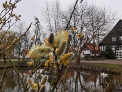 Photo: Das gastliche Dorf